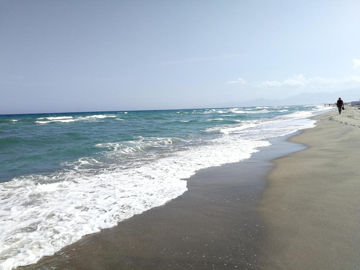 Agreable Studio 50M De La Plage Canet-en-Roussillon Extérieur photo